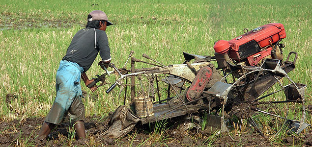 Unilever, IFAD Form Public-Private Partnership to Benefit Smallholder Farmers Worldwide