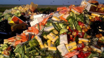 New Feasibility Studies Using Social Innovations to Tackle European Food Waste 