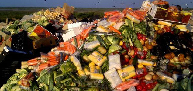 New Feasibility Studies Using Social Innovations to Tackle European Food Waste 