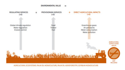 New Study Illustrates Higher Natural Capital Value of Agrofrestry vs. Monoculture