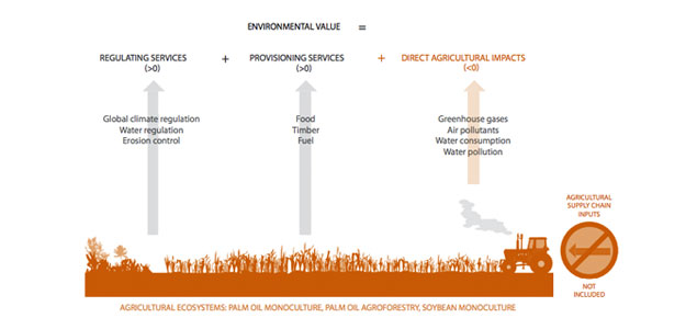 New Study Illustrates Higher Natural Capital Value of Agrofrestry vs. Monoculture