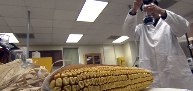 University of Nebraska Engineers Creating Textiles from Corn Husks 