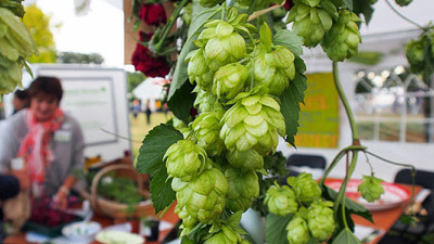 UK Startup Turning Enterprising Beer Lovers Into Urban Farmers