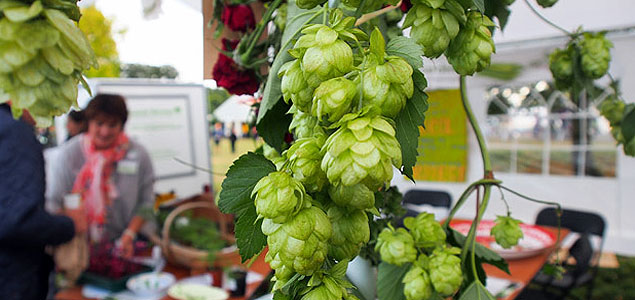 UK Startup Turning Enterprising Beer Lovers Into Urban Farmers