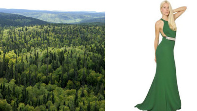 Fashion and Textile Leaders for Forest Conservation Begin Shift to Forest-Free Viscose