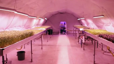 Startup Growing 'Zero Carbon Food' in London Underground Tunnels Has Investors Clamoring