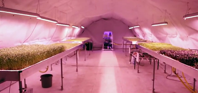 Startup Growing 'Zero Carbon Food' in London Underground Tunnels Has Investors Clamoring