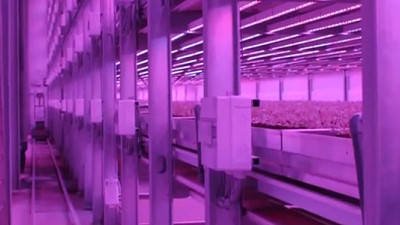 Philips and Green Sense Farms Using LEDs to Grow Crops Indoors