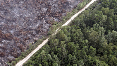 Getting to Zero: Multiple Sectors Convene Around Deforestation at SB '14 San Diego