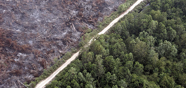 Getting to Zero: Multiple Sectors Convene Around Deforestation at SB '14 San Diego