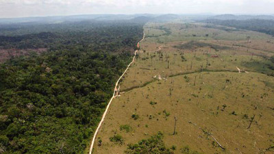 Brazil Releases Forest Reference Emission Level Assessment, Kickstarting Participation in REDD+