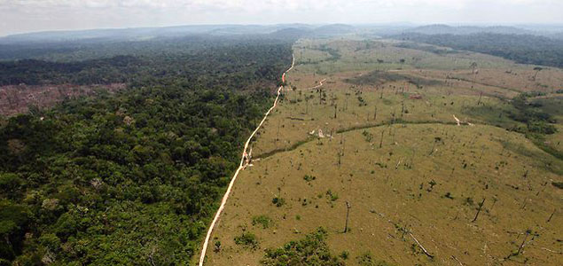 Brazil Releases Forest Reference Emission Level Assessment, Kickstarting Participation in REDD+