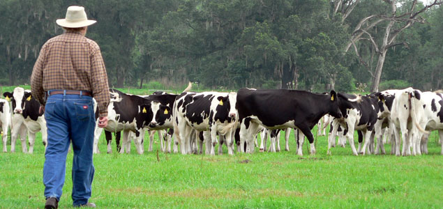 Dairy Industry Actions Leading to More Sustainable Food System