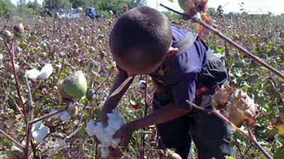 IKEA Expands Program to Prevent Child Labor in India’s Cotton Fields