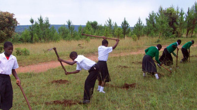 Sacred Seedlings Leading Effort to Reforest the World, Help Halt Climate Change