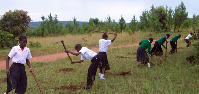 Sacred Seedlings Leading Effort to Reforest the World, Help Halt Climate Change