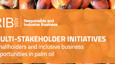 Whitepaper: Don’t Leave Smallholders Out of the Palm Oil Debate