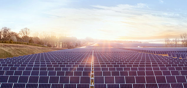 Apple Expands Solar Capabilities; Greenpeace Applauds