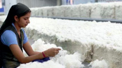 WWF, IKEA Release Better Cotton Initiative Progress Report 