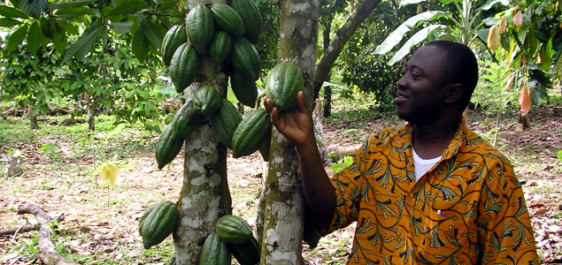 Bridging the Gap: Using Sustainable Finance to Improve Cocoa Farmer Livelihoods in Côte d’Ivoire