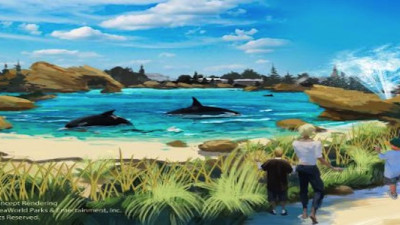 SeaWorld Doubling Size of Whale Environments After Documentary Ruins Revenue