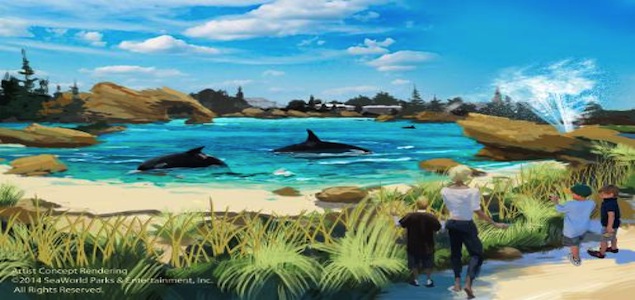 SeaWorld Doubling Size of Whale Environments After Documentary Ruins Revenue