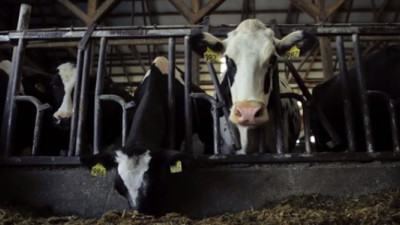 How Ben & Jerry's and NativeEnergy Helped a Vermont Dairy Farmer Turn Waste Into a Resource