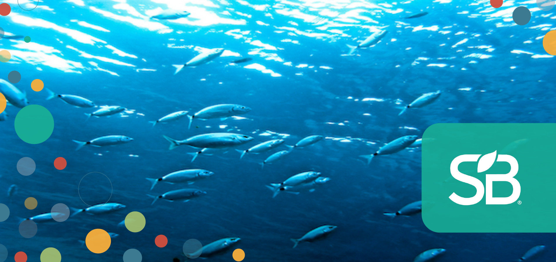 MSC-Labeled Seafood Products Increase By 118% In 5 Years | Sustainable ...