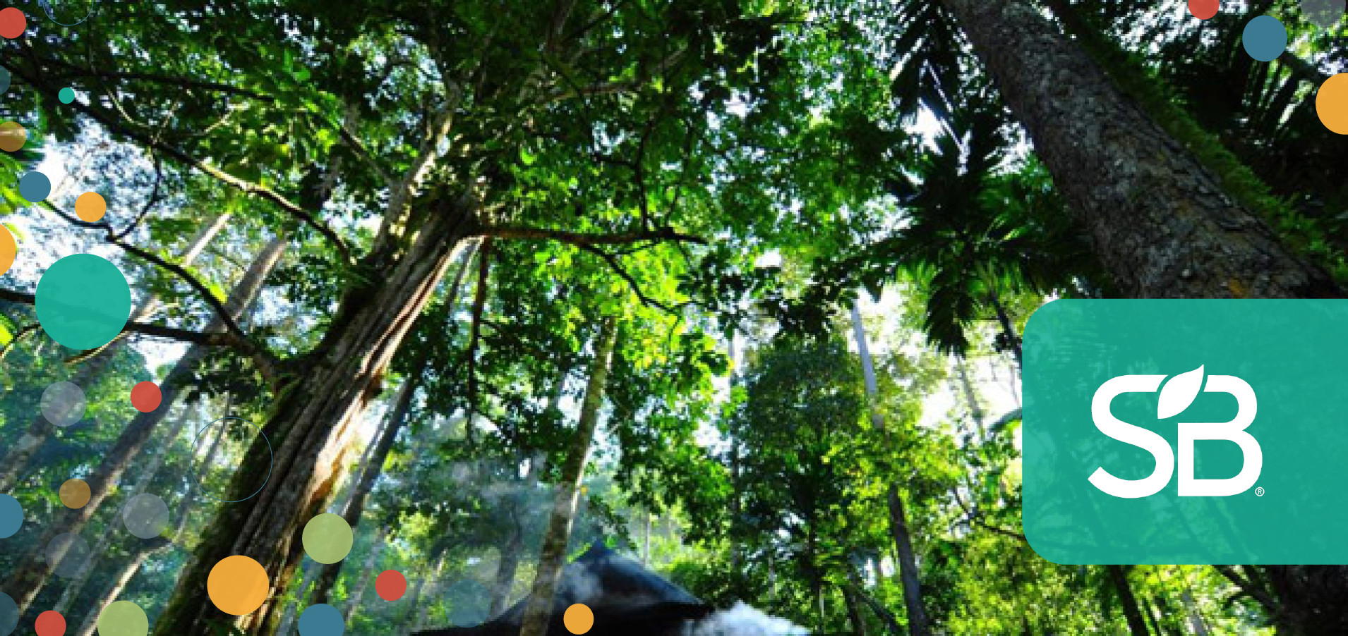 Asia Pulp and Paper, M&S, Barclays Sign New York Declaration on Forests