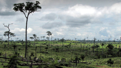 Working Towards Zero Deforestation: Lessons from Acre, Brazil