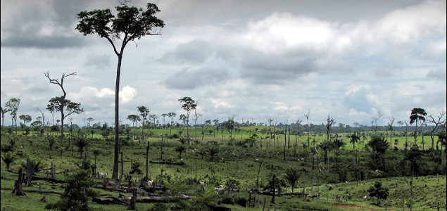 Working Towards Zero Deforestation: Lessons from Acre, Brazil