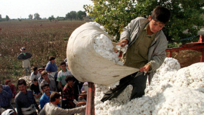 World's Largest Retailers Take Stand Against Forced Labor in Uzbek Cotton Harvesting