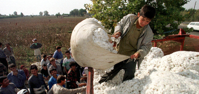 World's Largest Retailers Take Stand Against Forced Labor in Uzbek Cotton Harvesting