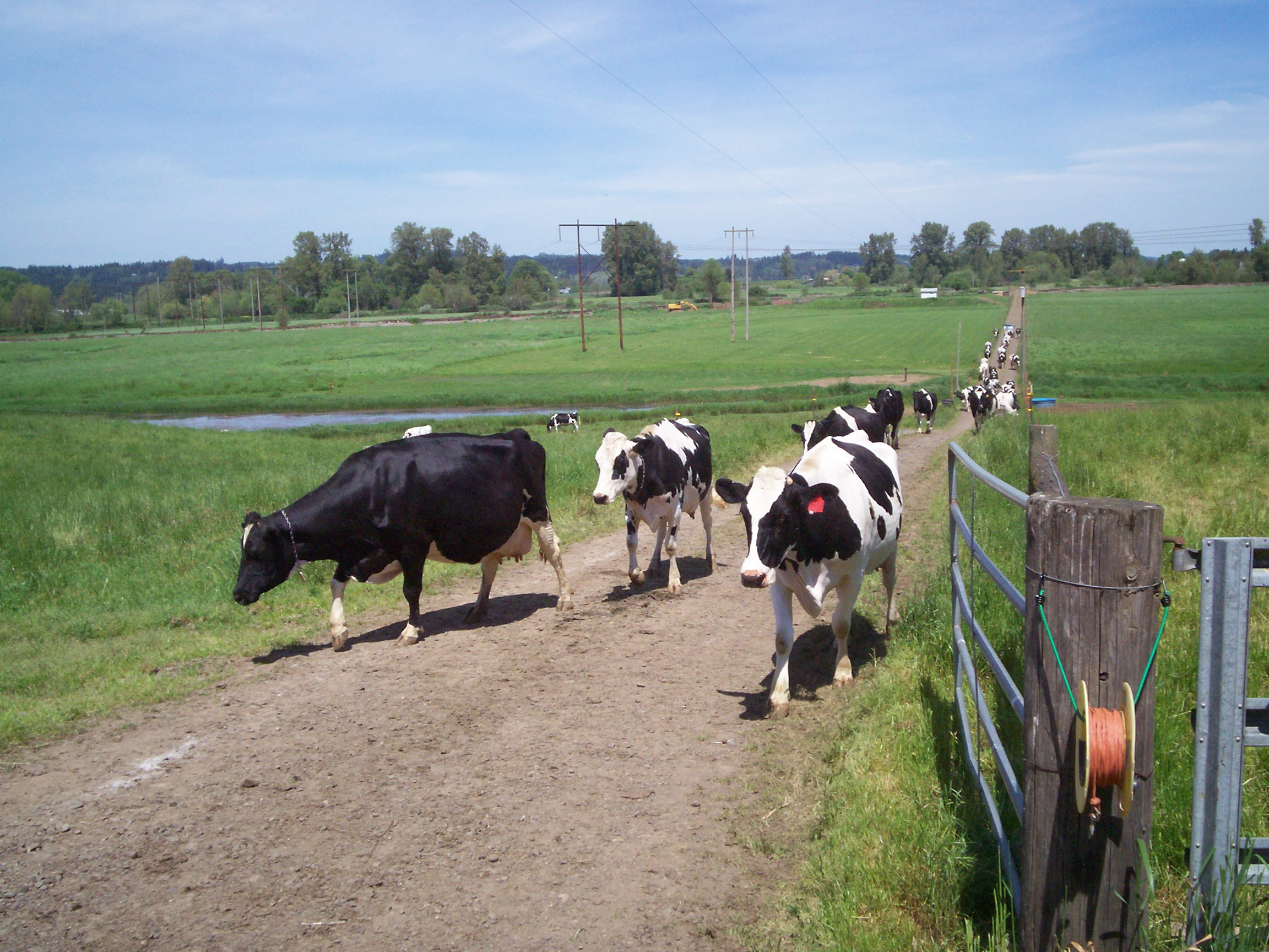 Manomet’s VCI Drives Unprecedented Awareness on Key Topics of Dairy Farm Sustainability