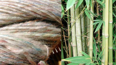 EcoPlanet Bamboo Working with Canopy to Offer Sustainable Alternative to Forest-Fiber Textiles