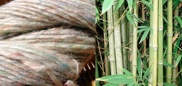 EcoPlanet Bamboo Working with Canopy to Offer Sustainable Alternative to Forest-Fiber Textiles