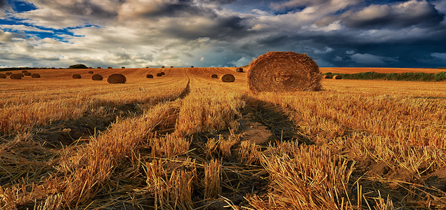 Italy Will Be First Country to Require Cars, Trucks Use Biofuels from Ag Waste 