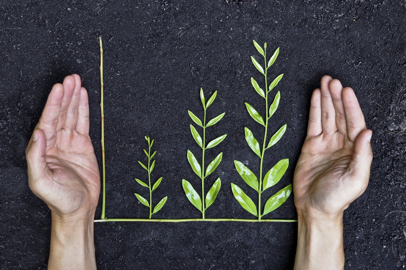 5 Misconceptions About Sustainability Reporting Assurance