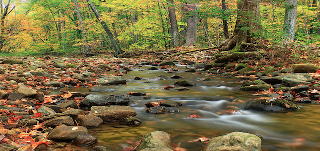 Report: Global Market for Conservation Investing Grows to $23 Billion