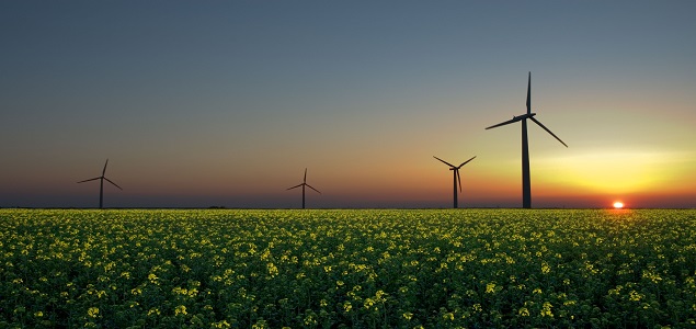 Why Should Brands Be Involved in the Clean Power Plan? 