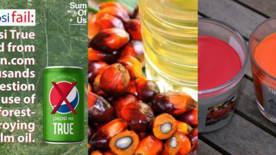 Trending: This Week in Sustainable Palm Oil — Featuring PepsiCo, IKEA & Unilever