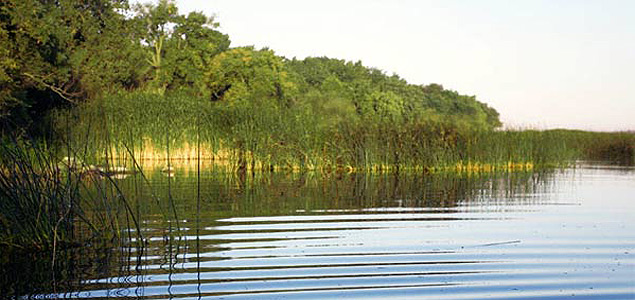 Method, The Nature Conservancy Partner to Protect Water in the Great Lakes Region