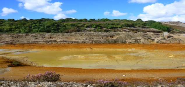 UK Researchers Cleaning Mine Water with Algae