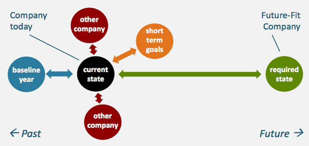 Changing the Way Non-Financial Performance Is Measured, and Thus Managed, in Pursuit of Future-Fit Businesses