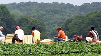 Sustainable Food Trade Association Announces Organic Labor Code of Conduct