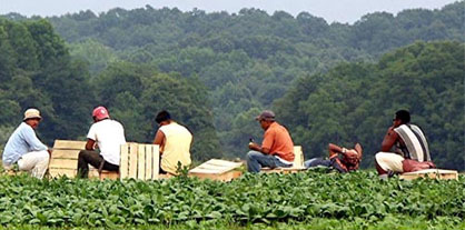 Sustainable Food Trade Association Announces Organic Labor Code of Conduct