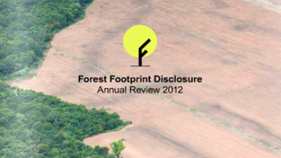 Heinz, Colgate Divulge Forest Footprints, But Many Firms Falling Behind, Report Says