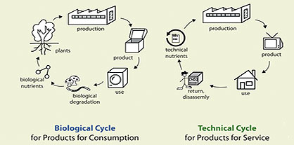 Waste Not: Innovative Solutions from Cradle to Cradle and Beyond