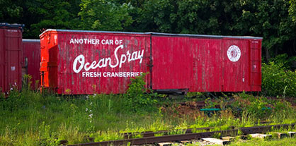 Ocean Spray Slashes Costs, Emissions Through Logistics Collaboration