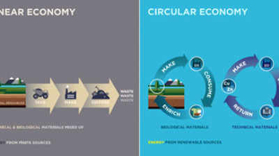 How Are Circular Economic Models Driving Innovation and Social Good?